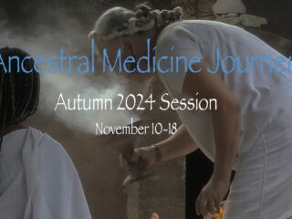 Ancestral Medicine Journey