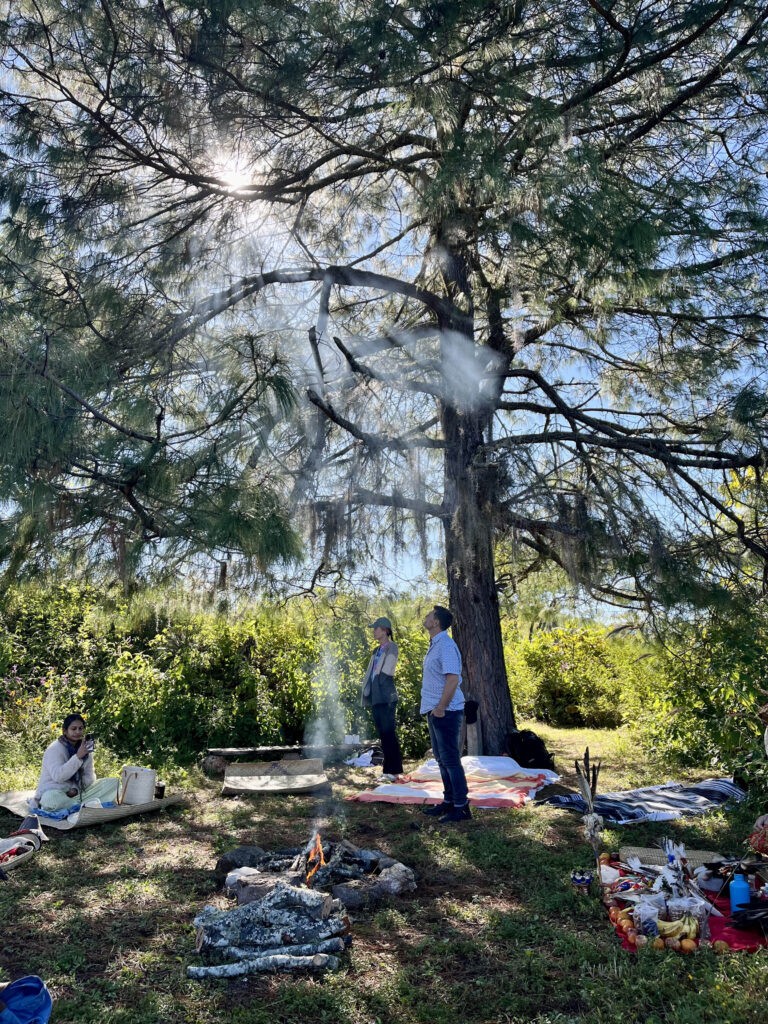 sacred plant ceremony